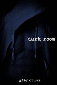 Baixar dark room pdf, epub, eBook
