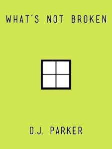 Baixar What’s Not Broken (English Edition) pdf, epub, eBook