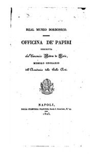 Baixar Real museo borbonico (Italian Edition) pdf, epub, eBook