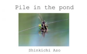 Baixar Pile in the pond (Japanese Edition) pdf, epub, eBook