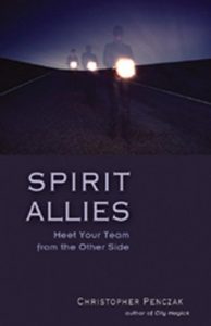 Baixar Spirit Allies: Meet Your Team from the Other Side pdf, epub, eBook