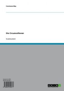 Baixar Die Circumcellionen pdf, epub, eBook