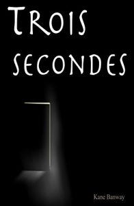 Baixar Trois secondes (French Edition) pdf, epub, eBook