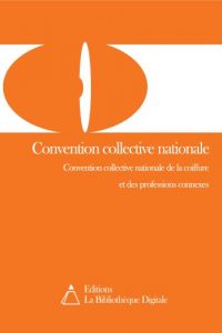 Baixar Convention collective nationale de la coiffure et des professions connexes (3159) (French Edition) pdf, epub, eBook