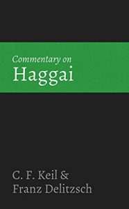 Baixar Commentary on Haggai (English Edition) pdf, epub, eBook