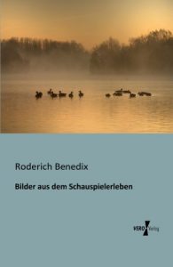 Baixar Bilder aus dem Schauspielerleben (German Edition) pdf, epub, eBook