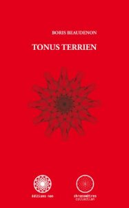 Baixar Tonus Terrien (Trilogie des Osselets t. 3) (French Edition) pdf, epub, eBook