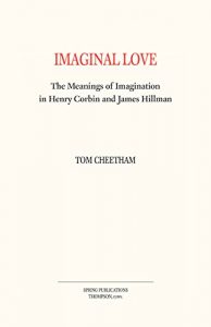 Baixar Imaginal Love: The Meanings of Imagination in Henry Corbin and James Hillman (English Edition) pdf, epub, eBook
