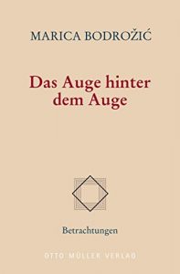 Baixar Das Auge hinter dem Auge (German Edition) pdf, epub, eBook