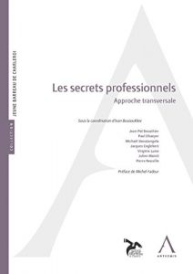Baixar Les secrets professionnels: Approche transversale (Jeune Barreau de Charleroi) (French Edition) pdf, epub, eBook