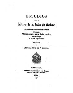 Baixar Estudios Sobre el Cultivo de la Caña de Azúcar, Pluviometría del Estado de Norelso, Drenaje (Spanish Edition) pdf, epub, eBook