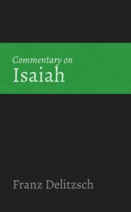 Baixar Commentary on Isaiah (English Edition) pdf, epub, eBook