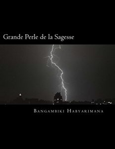 Baixar Grande Perle de la Sagesse (French Edition) pdf, epub, eBook
