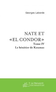 Baixar NATE et EL CONDOR (tome4) (FICTION) pdf, epub, eBook