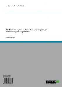 Baixar Die Bedeutung der motorischen und kognitiven Entwicklung im Jugendalter pdf, epub, eBook