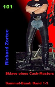Baixar Sklave eines Cash-Masters: Sammelband 1-3 (German Edition) pdf, epub, eBook