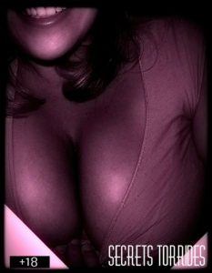 Baixar Secrets torrides (French Edition) pdf, epub, eBook