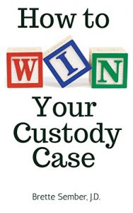 Baixar How to Win Your Custody Case (English Edition) pdf, epub, eBook