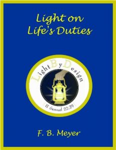 Baixar Light On Life Duties (English Edition) pdf, epub, eBook