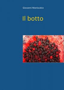 Baixar Il botto pdf, epub, eBook