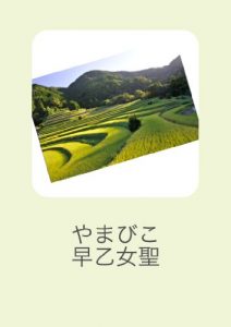 Baixar yamabico (Japanese Edition) pdf, epub, eBook