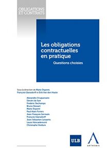 Baixar Les obligations contractuelles en pratique: Questions choisies (Belgique) (Obligations et contrats) (French Edition) pdf, epub, eBook