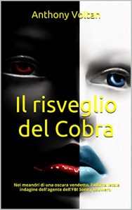 Baixar Il risveglio del Cobra (Bostonian Stories Vol. 3) (Italian Edition) pdf, epub, eBook