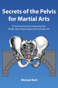 Baixar Secrets of the Pelvis for Martial Arts: A Practical Guide for Improving Your  Wujifa, Taiji, Xingyi, Bagua and Everyday Life (English Edition) pdf, epub, eBook