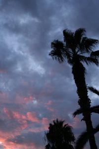 Baixar Spezzando ogni cuore pdf, epub, eBook