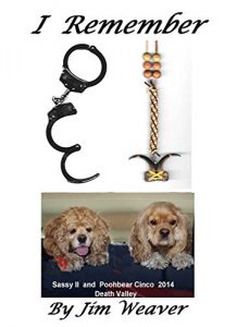 Baixar I Remember (Book 1) (English Edition) pdf, epub, eBook