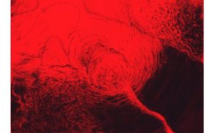 Baixar Abiku Kambla (French Edition) pdf, epub, eBook