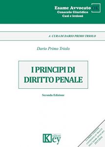 Baixar I principi del diritto penale (Cenacolo Giuridico: Casi e Lezioni Vol. 1) (Italian Edition) pdf, epub, eBook