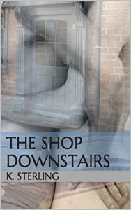 Baixar The Shop Downstairs (English Edition) pdf, epub, eBook