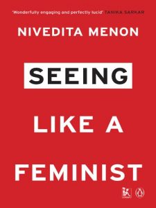 Baixar Seeing Like a Feminist pdf, epub, eBook