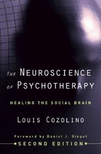 Baixar The Neuroscience of Psychotherapy: Healing the Social Brain (Second Edition) (Norton Series on Interpersonal Neurobiology) pdf, epub, eBook