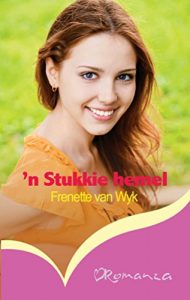 Baixar ‘n Stukkie hemel (Afrikaans Edition) pdf, epub, eBook