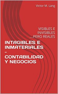Baixar INTAGIBLES E INMATERIALES -CONTABILIDAD Y NEGOCIOS: VISIBLES E INVISIBLES ….PERO REALES (Spanish Edition) pdf, epub, eBook