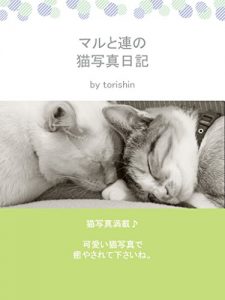 Baixar MARU and REN Cat Photo Diary (Japanese Edition) pdf, epub, eBook