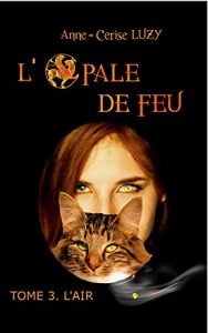 Baixar L’Opale de Feu – Tome 3 : L’Air (French Edition) pdf, epub, eBook