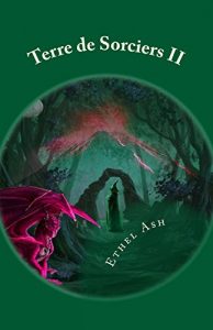 Baixar Terre de Sorciers II: Le voyageur (French Edition) pdf, epub, eBook
