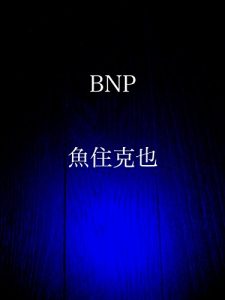 Baixar BNP (Japanese Edition) pdf, epub, eBook