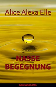 Baixar Nasse Begegnung (German Edition) pdf, epub, eBook