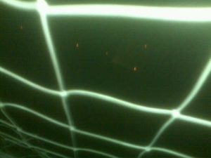 Baixar Floh-Katie (German Edition) pdf, epub, eBook