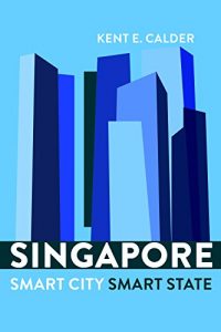 Baixar Singapore: Smart City, Smart State pdf, epub, eBook