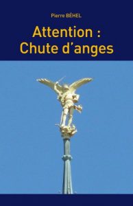 Baixar Attention : chute d’anges (French Edition) pdf, epub, eBook