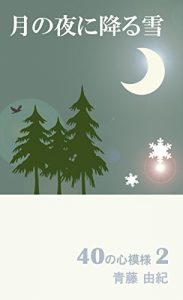 Baixar TUKINOYORUNIFURUYUKI: YONJUDAINOKOKOROMOYOU 2 (Japanese Edition) pdf, epub, eBook