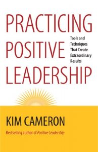 Baixar Practicing Positive Leadership: Tools and Techniques That Create Extraordinary Results pdf, epub, eBook
