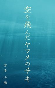 Baixar sorawo tonnda yamameno chiki (Japanese Edition) pdf, epub, eBook