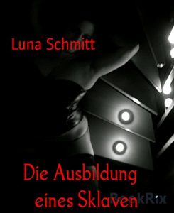 Baixar Die Ausbildung    eines Sklaven: Tagebuch einer Domina Teil 1 (German Edition) pdf, epub, eBook