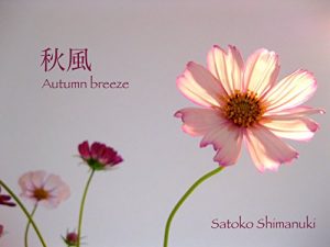Baixar Autumn breeze: Paratteparatta (Japanese Edition) pdf, epub, eBook